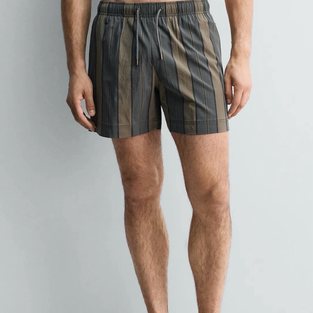 Zara Olive and Charcoal Striped Men's Swim Trunks